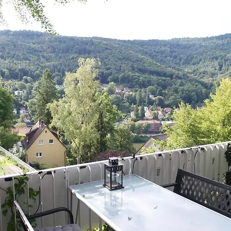 Apartment In Heidelberg With Neckar View