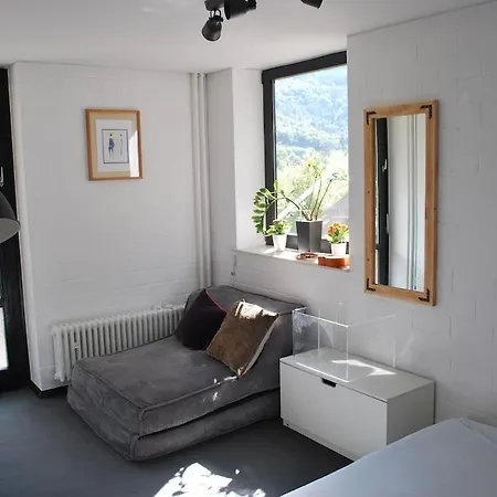 Apartment In Heidelberg With Neckar View *