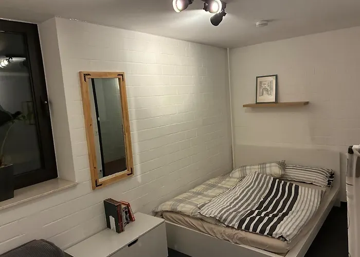 Apartamento In Heidelberg With Neckar View *